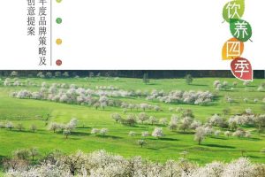 统一冰糖雪梨2016年度传播策略及创意方案（PPT）