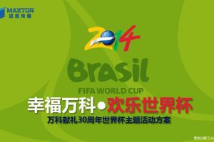 唐山万科2014献礼30周年世界杯主题活动方案（PDF）