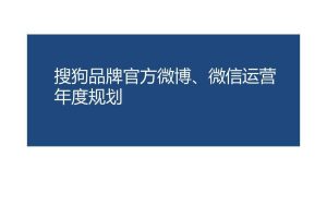 搜狗官方微博微信2015年度运营策略方案（PDF）