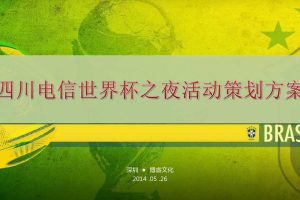 四川电信2014世界杯之夜活动策划方案（PDF）