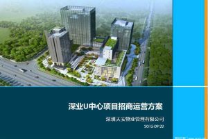 深业U中心项目招商运营方案（PDF）