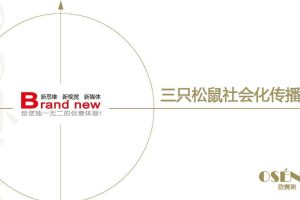 三只松鼠2016社会化传播方案（PDF）