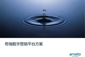 奇瑞汽车2016数字营销平台规划方案（PDF）