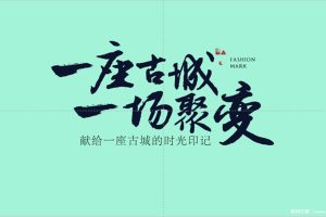 南京莱蒙都会广场商业定位及年度推广执行方案（PPT）