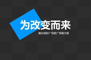 麓谷国际广场推广策略方案（PPT）