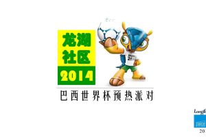 龙湖社区2014巴西世界杯预热活动方案（PDF）