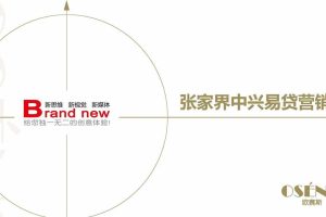 中兴易货P2P平台品牌策划定位及网络营销数字传播方案（PDF）