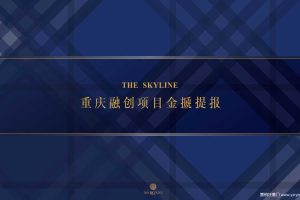 重庆融创项目金搋提报-红鹤沟通（PPT）