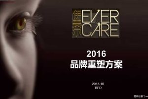 伊美尔2016品牌重塑方案（PPT）