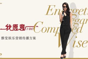 雅莹女装x电影《我愿意》娱乐营销提案（PPT）