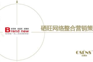 硒旺2015网络整合营销规划方案（PDF