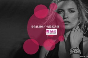 唯品会2015社会化媒体广告投放方案（PDF）