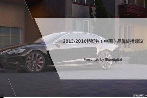 特斯拉（中国）2015-2016品牌传播建议方案（PDF）