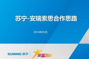苏宁-安瑞索思2014合作思路策划方案（PPT）