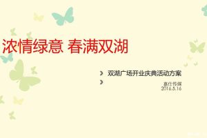 双湖广场2016开业庆典方案（PDF）