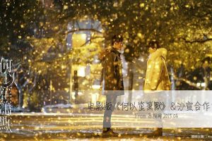 沙宣x电影《何以笙萧默》合作方案（PPT）