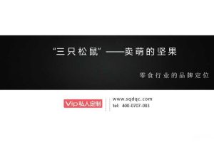 三只松鼠的品牌定位案例（PPT）
