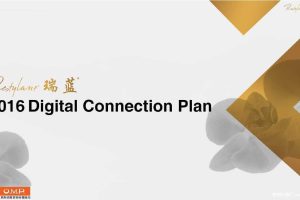 瑞蓝2016数字营销创意方案（PDF）