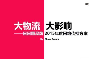 日日顺物流品牌2015年度网络传播方案（PDF）