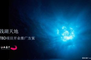 钱湖天地TBD项目2016开业推广方案（PDF）