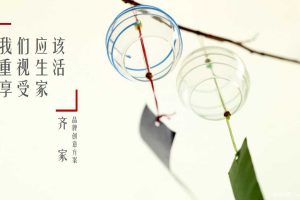 齐家网2015品牌创意推广方案（PDF）