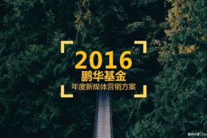 鹏华基金2016年度新媒体营销方案（PDF）