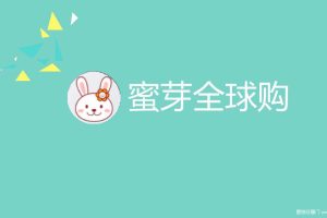 蜜芽全球购2016微博营销广告投放与效果结案报告（PPT）