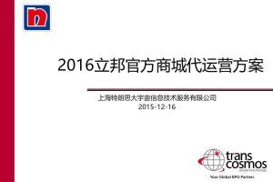 立邦官方商城2016代运营方案（PPT）