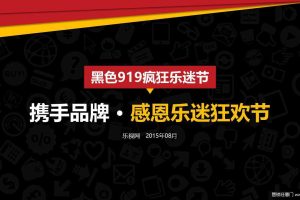 乐视网2015黑色919疯狂乐迷节招商方案（PPT）