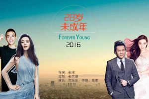 乐视网《28岁未成年》招商方案（PDF）