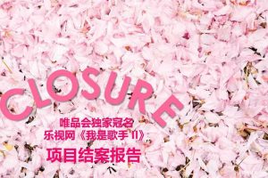 唯品会x乐视网《我是歌手II》冠名结案报告（PPT）