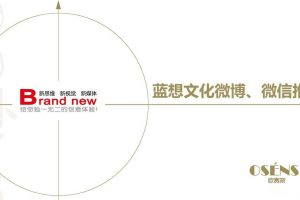 蓝想文化微博&微信营销推广方案（PPT）