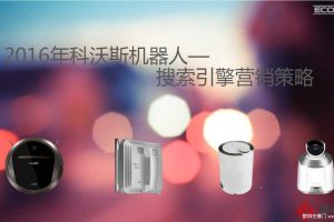 科沃斯机器人2016搜索引擎营销策略方案（PDF）