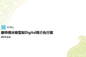 康师傅冰糖雪梨2016年Digital媒介执行方案（PDF）