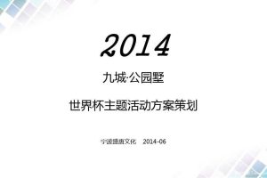 九城·公园墅2014世界杯主题活动方案（PDF）