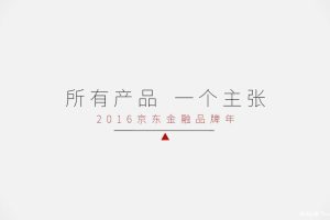 京东金融2016品牌年传播规划方案（PDF）