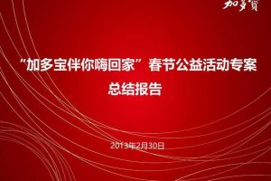 加多宝“伴你嗨回家”2013春节公益活动专案总结报告（PPT）