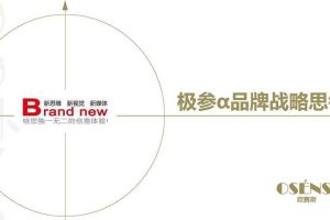 极参α人参含片品牌策划定位及整合营销创意规划案（PDF）