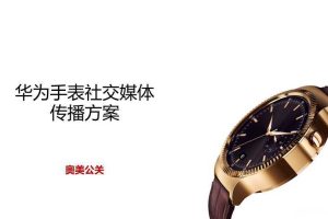 华为智能手表2015预热及上市social传播方案（PPT）