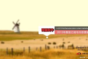 荷兰乳牛2015年微信号内容营销梳理方案（PPT）