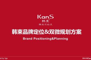 韩束2015-2016品牌定位&双微运营规划方案（PPT）