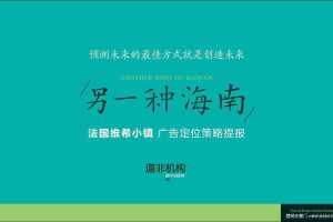 海南法国维希小镇广告定位策略提报（PDF）