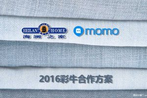 海澜之家彩牛2016陌陌合作推广方案（PPT）