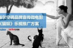 海尔空调品牌宣传微电影《猫奴》乐视推广方案（PPT）