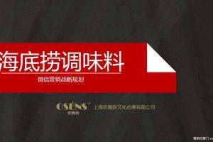 海底捞调味料品牌微信营销战略规划方案（PDF）