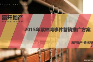 紫林湾2015年事件营销推广方案（PPT）