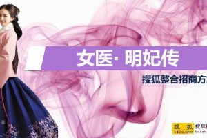 电视剧《女医明妃传》搜狐整合招商方案（PPT）