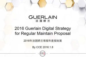 法国娇兰2016新媒体营销规划方案（PDF）
