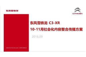 东风雪铁龙C3-XR2016社会化内容整合传播方案（PDF）