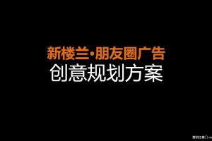 东风日产新楼兰朋友圈广告创意规划方案（PDF）